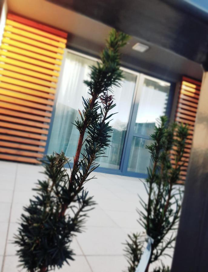 Apartament "Oldmountain" Olimpijska 1C 1 ชเจอร์ค ภายนอก รูปภาพ